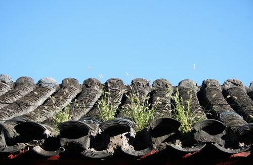Beijing Hutong, Beijing, China.