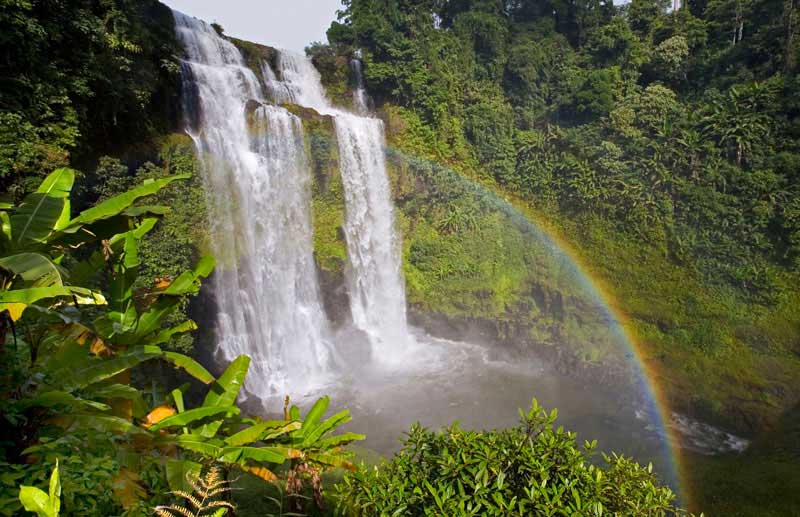 Bolaven Plateau.