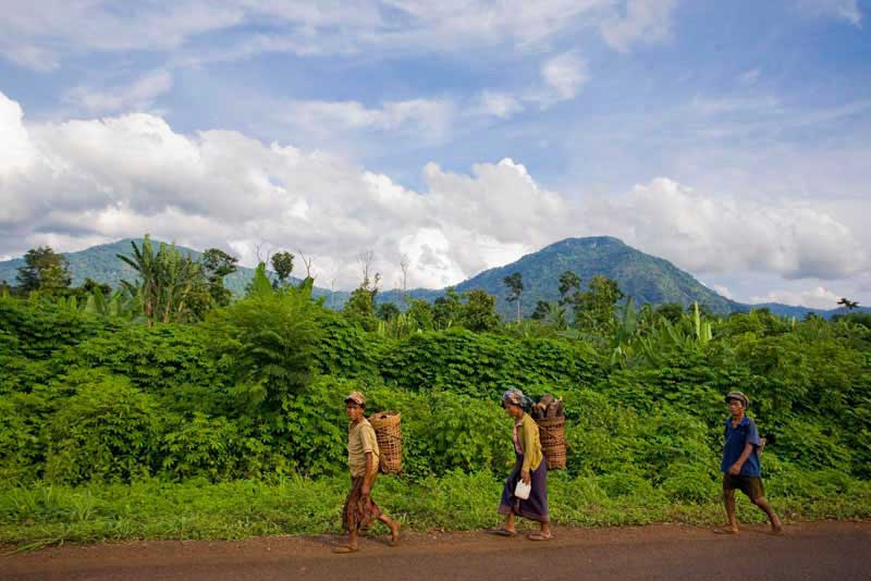 Bolaven Plateau, Laos.
