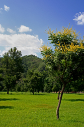 Chengde, China.