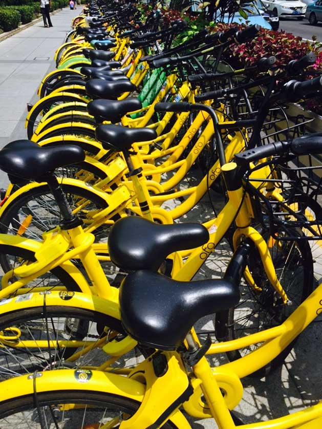 Cycling in Beijing.