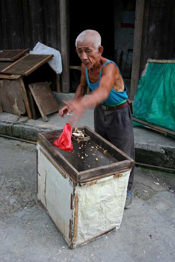 Rural Life, Xing Ping.