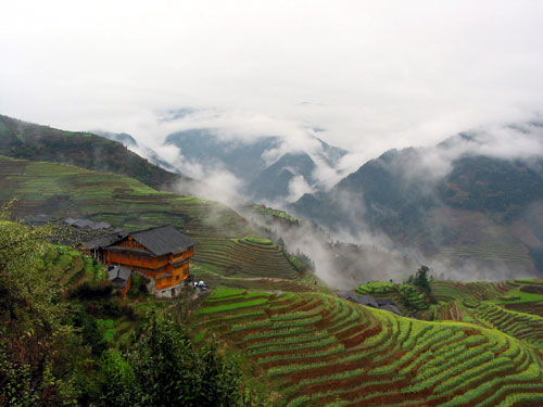 Guangxi Rice terraces in clouds, Guangxi Autonomous Region, China.