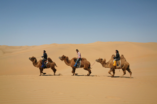 Gobi Desert, Inner Mongolia, China.