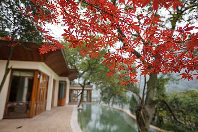 Presidential Suite, Bolian Resort.