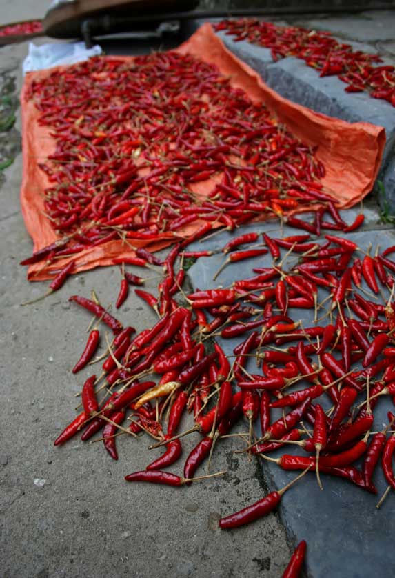 Yangshuo in Guangxi Province is known for its delicious cuisine. It is the most spicy in China..