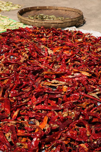 Hot peppers in Chengdu, Sichuan.