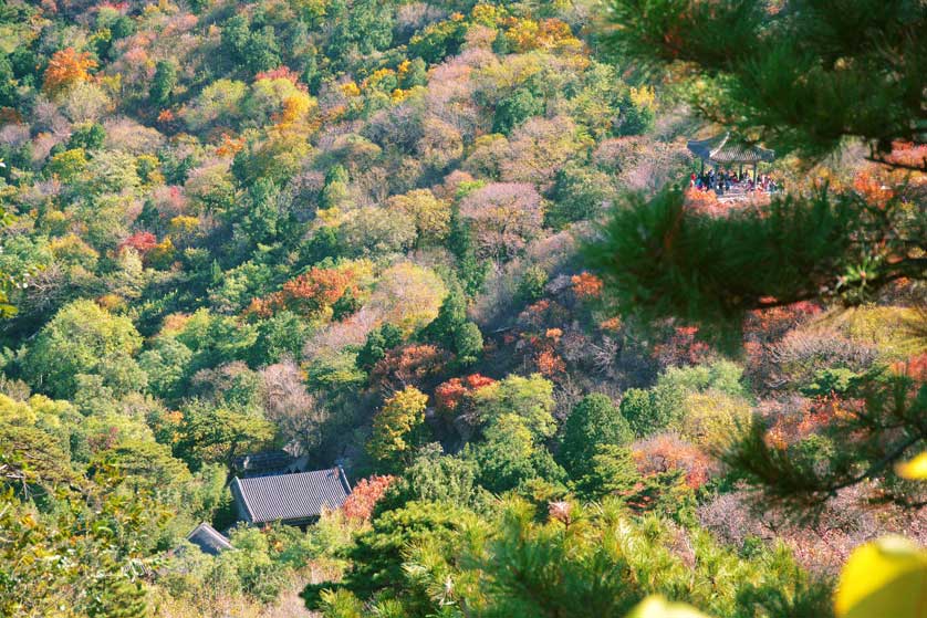 Fragrant Hills Park, Beijing.