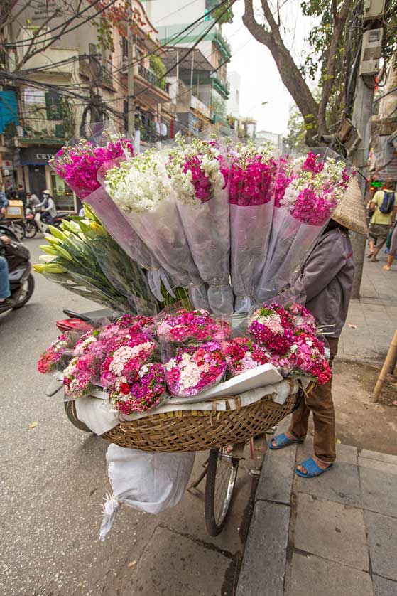 Hanoi Flowers - a weekend in Hanoi.