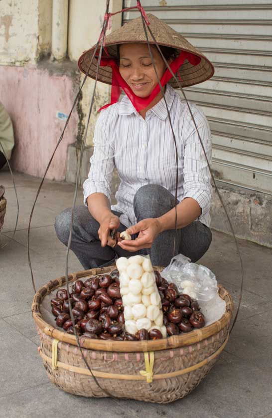 Street seller, Hanoi, Vietnam.