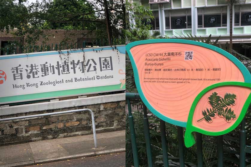 Hong Kong Zoo and Botanical Garden.