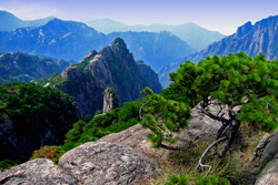 Huang Shan, Anhui Province, China.