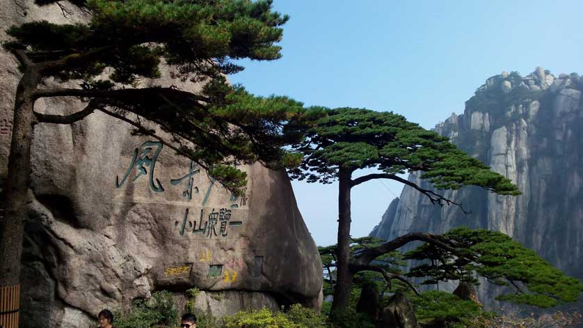 Greeting Pine, Huang Shan, Anhui Province.