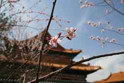 Hohhot, Inner Mongolia.