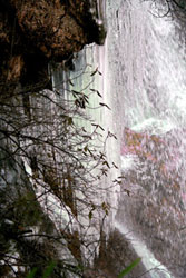 Waterfall, Jiuzhaigou.