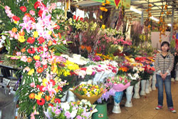 Laitai Flower Market, Beijing, China.