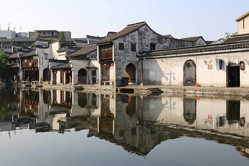 Cormorants, Nanxun, Zhejiang Province, China.