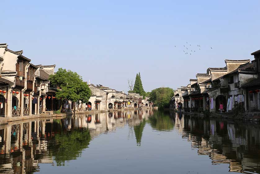 Cormorants, Nanxun, Zhejiang Province, China.