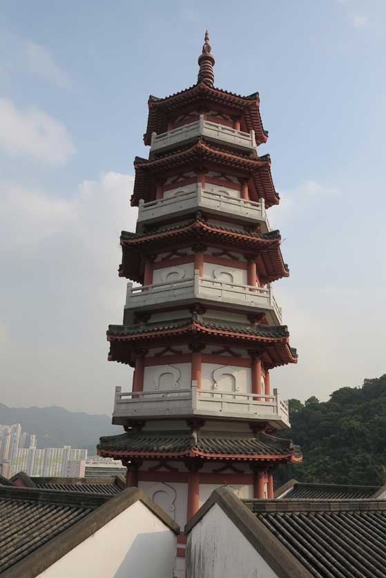 Po Fook Hill Cemetery, Sha Tin, Hong Kong.