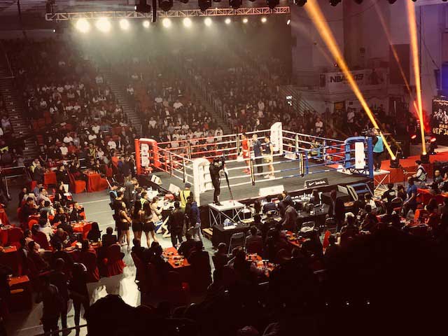 Rex Tso Hong Kong Boxer