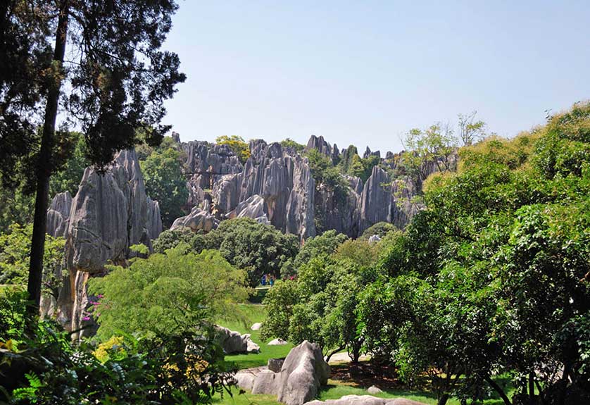 Kunming Stone Forest, Kunming, Yunnan