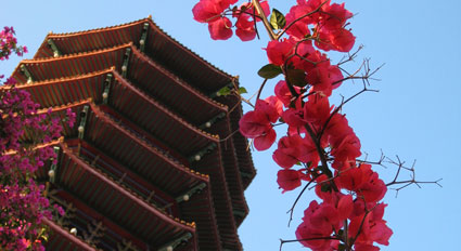 Walk in Hong Kong.