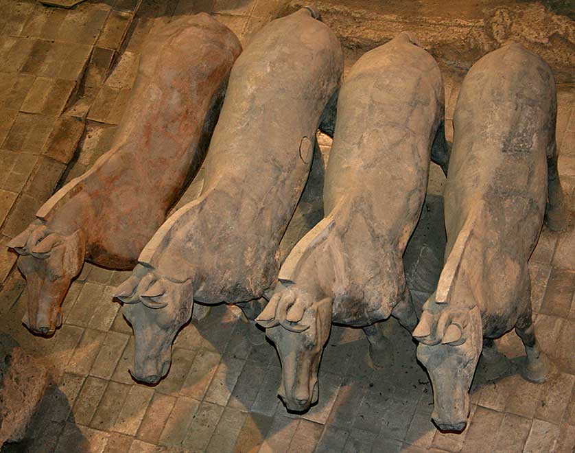 Terracotta Army, Xian, Shaanxi, China.