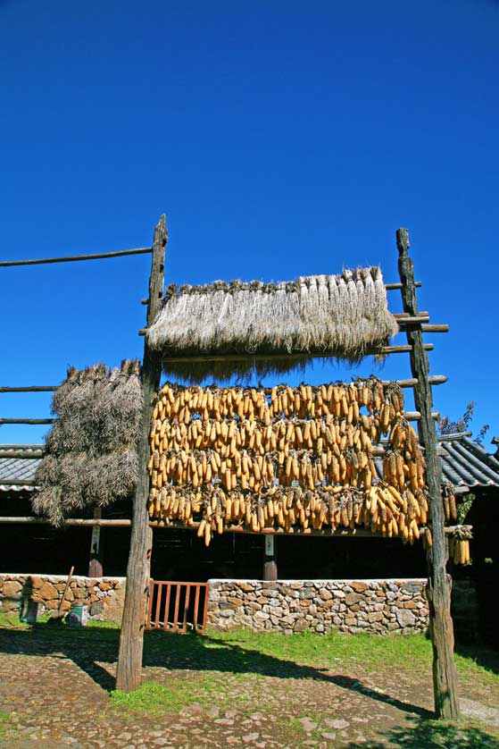 Yunnan Nationalities Village, Kunming.
