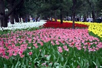 Zhongshan Park, Beijing.