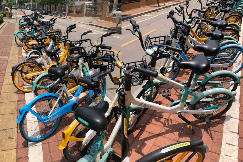 Rental bicycles in Zhuhai.